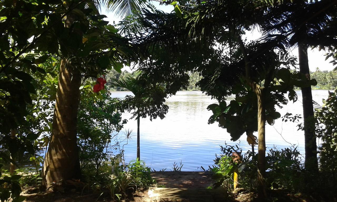 Big Banana Island Retreat Hotel North Paravur Luaran gambar