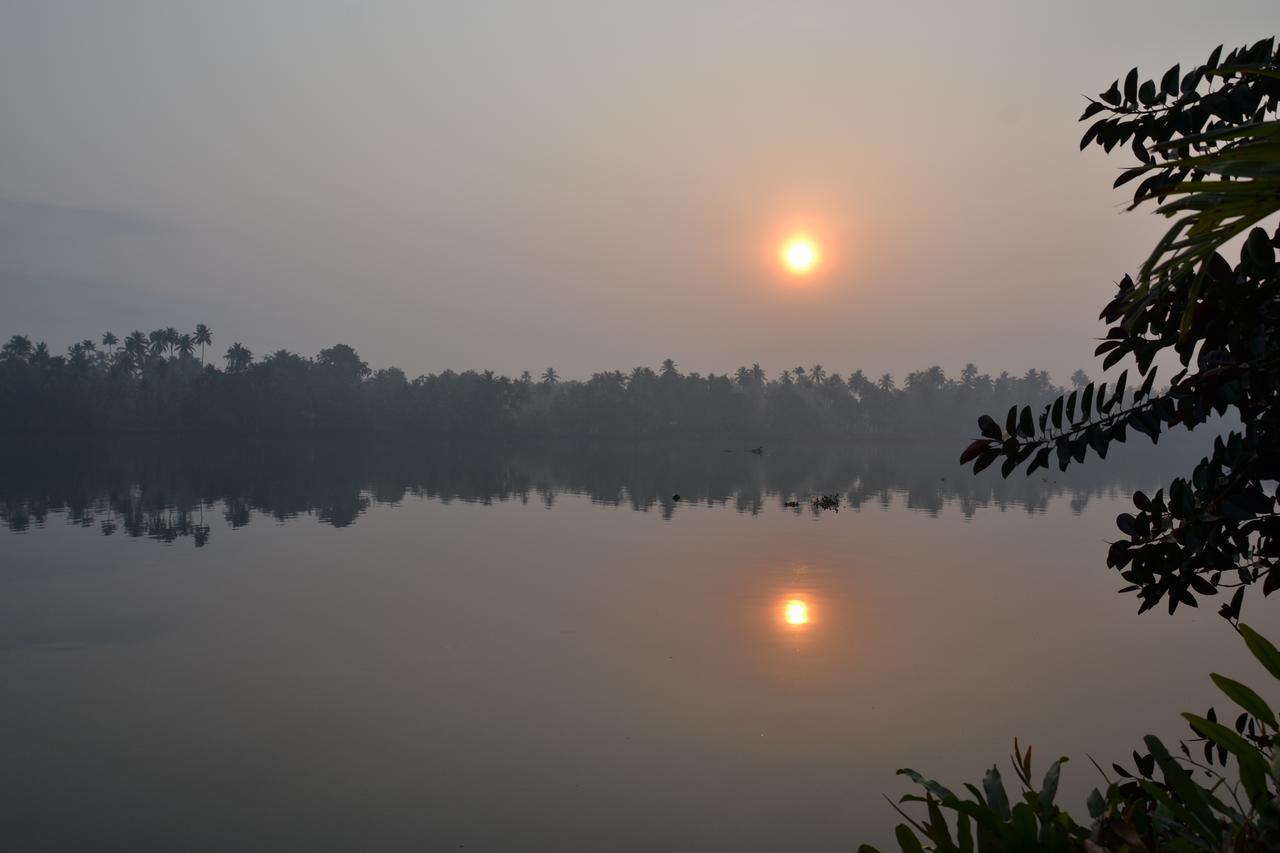 Big Banana Island Retreat Hotel North Paravur Luaran gambar