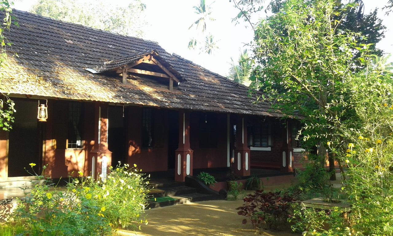 Big Banana Island Retreat Hotel North Paravur Luaran gambar